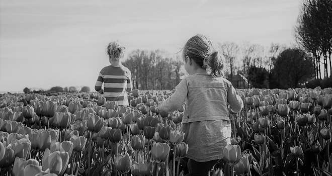 tulipanmark og born_sh.jpg