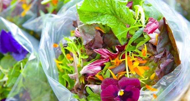Salad-With-Edible-Flowers.jpg