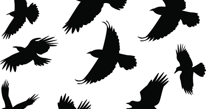 Set-Of-Silhouette-Flying-Raven-94724120.png