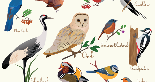 bird-icons-Colorful-realistic-113836196.png