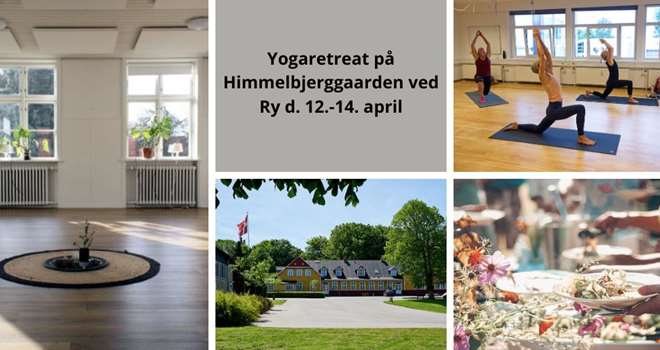 Yoga retreat himmelbjerggaarden 2024.jpg