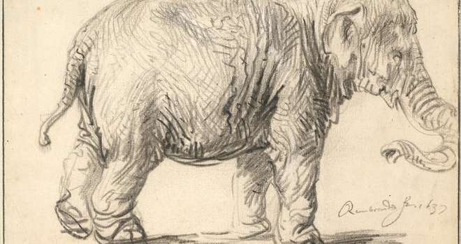 Klassisk tegning KREA Rembrandt_Harmenszoon_van_Rijn_-_An_Elephant,_1637_-_Google_Art_Project.jpg