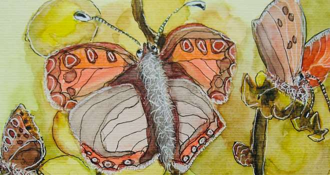 Susanne Krebs akvarel sommerfugle aflangt format.jpeg