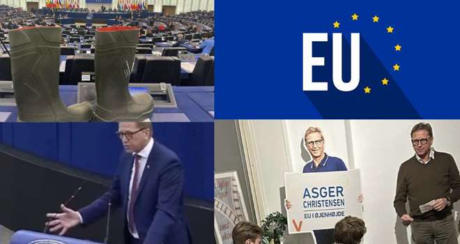 Collage - EU Parlamentet.jpg