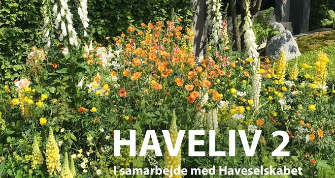 Haveliv2_tekst_low.jpg